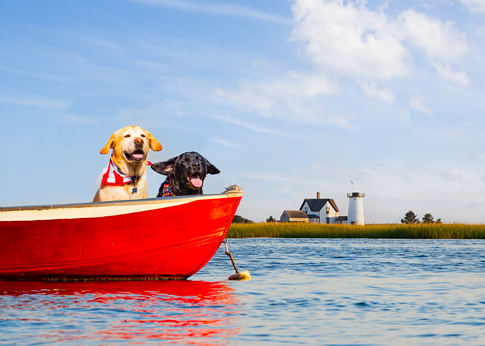 Boats
