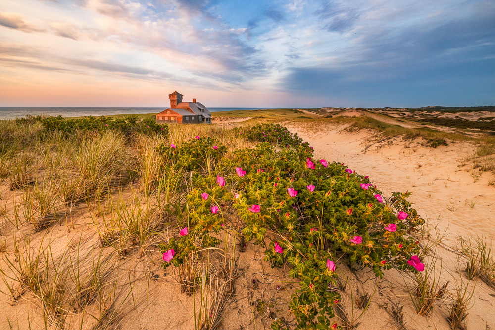 Cape Cod